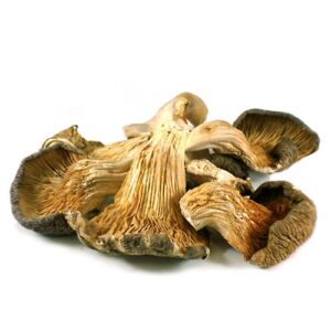 Oyster Dried Mushrooms