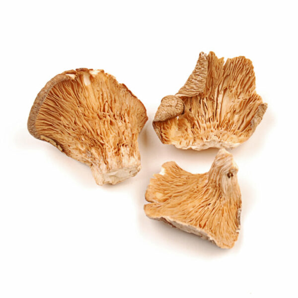 Oyster Dried Mushrooms - Image 2