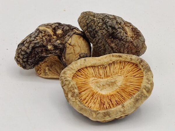 Dried Shiitake Mushrooms - Image 2