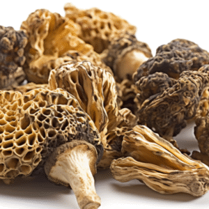 Morel Mushrooms