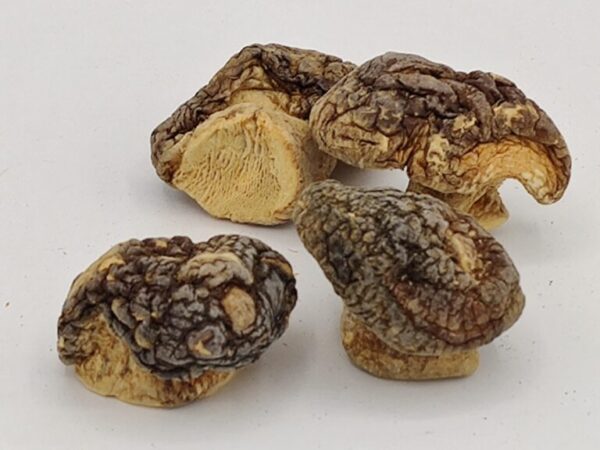 Dried Shiitake Mushrooms - Image 3