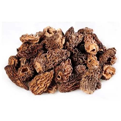 HotBotBuy Morel Mushrooms in Kyabram Australia - Image 2